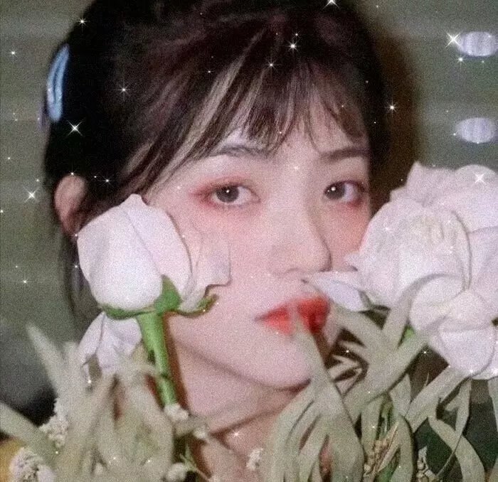 格杀勿论